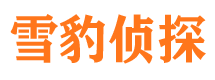 福鼎市调查公司